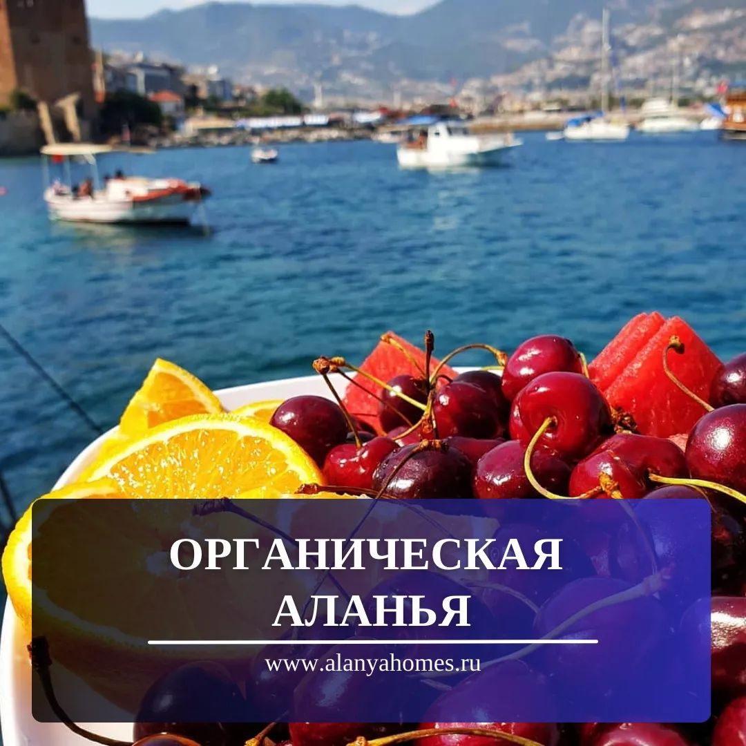 Organic Alanya
