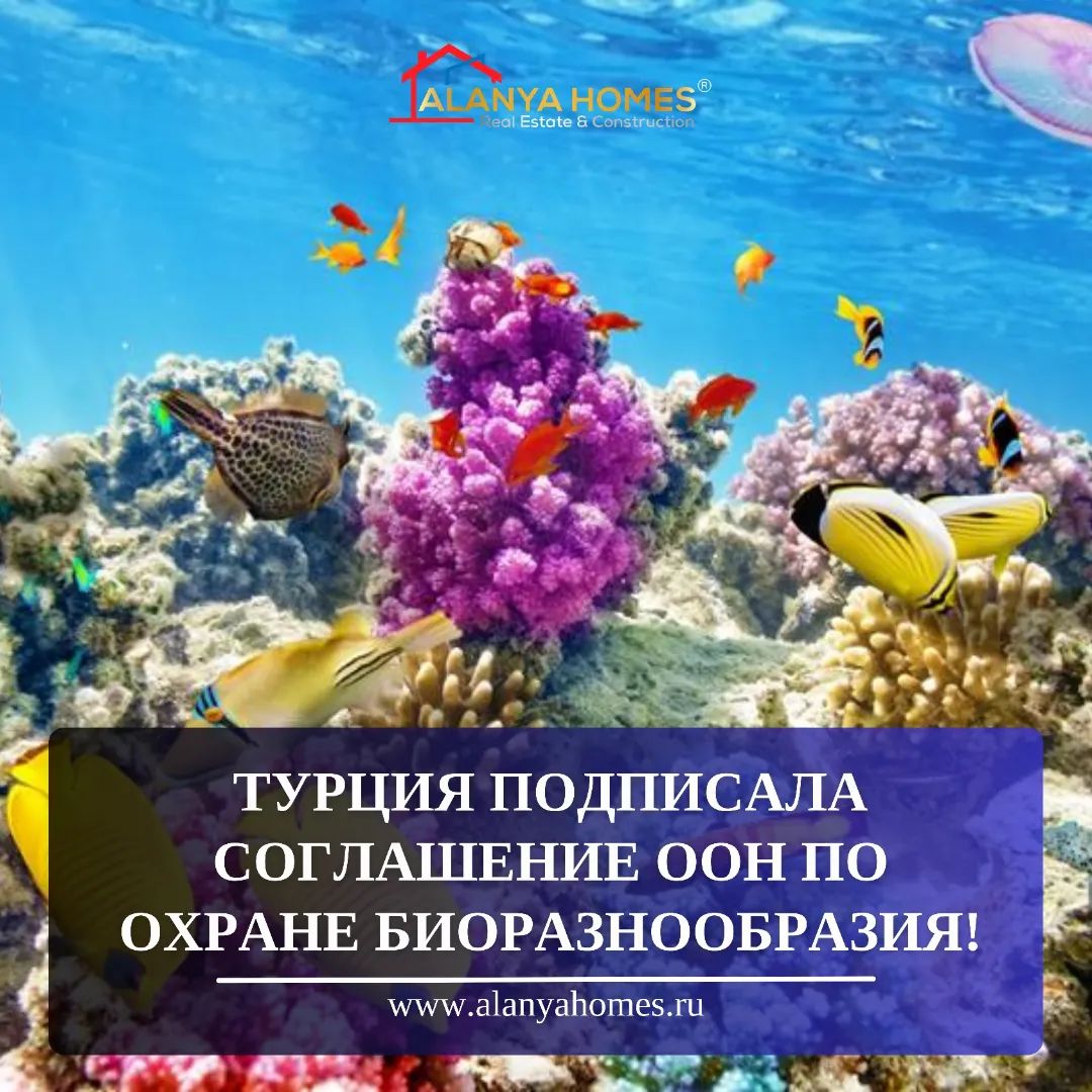 Турция подписала соглашение ООН по охране биоразнообразия!